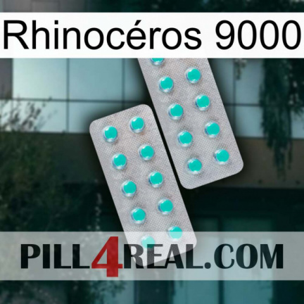 Rhinocéros 9000 29